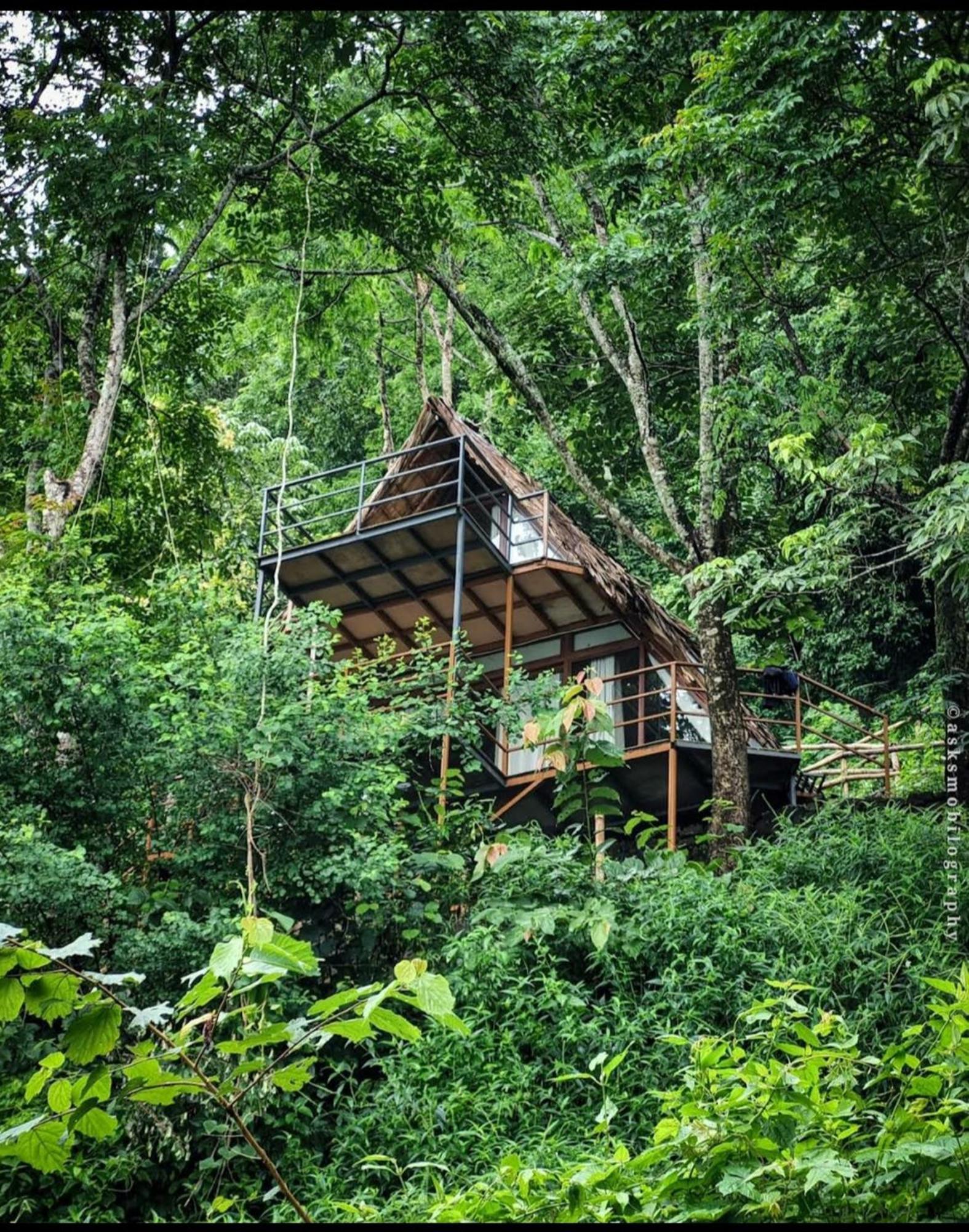 Sunset Valley Kerala Pool Resort - Serene Natural Forest Cottage Stay In Idukki With Sunrise & Sunset Panoramas, Natural Streams & Tranquil Summer Evenings Pīrmed Eksteriør bilde