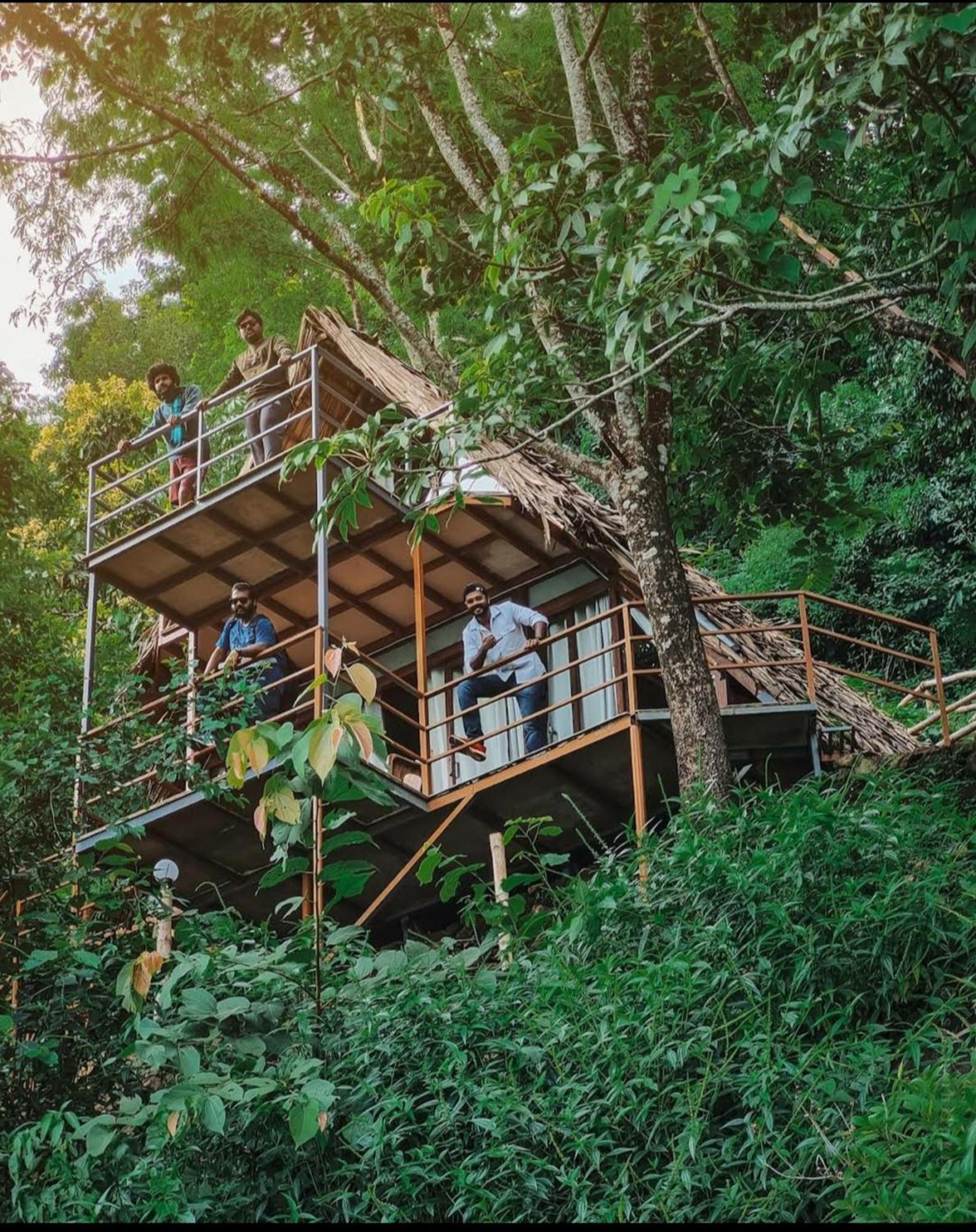 Sunset Valley Kerala Pool Resort - Serene Natural Forest Cottage Stay In Idukki With Sunrise & Sunset Panoramas, Natural Streams & Tranquil Summer Evenings Pīrmed Eksteriør bilde