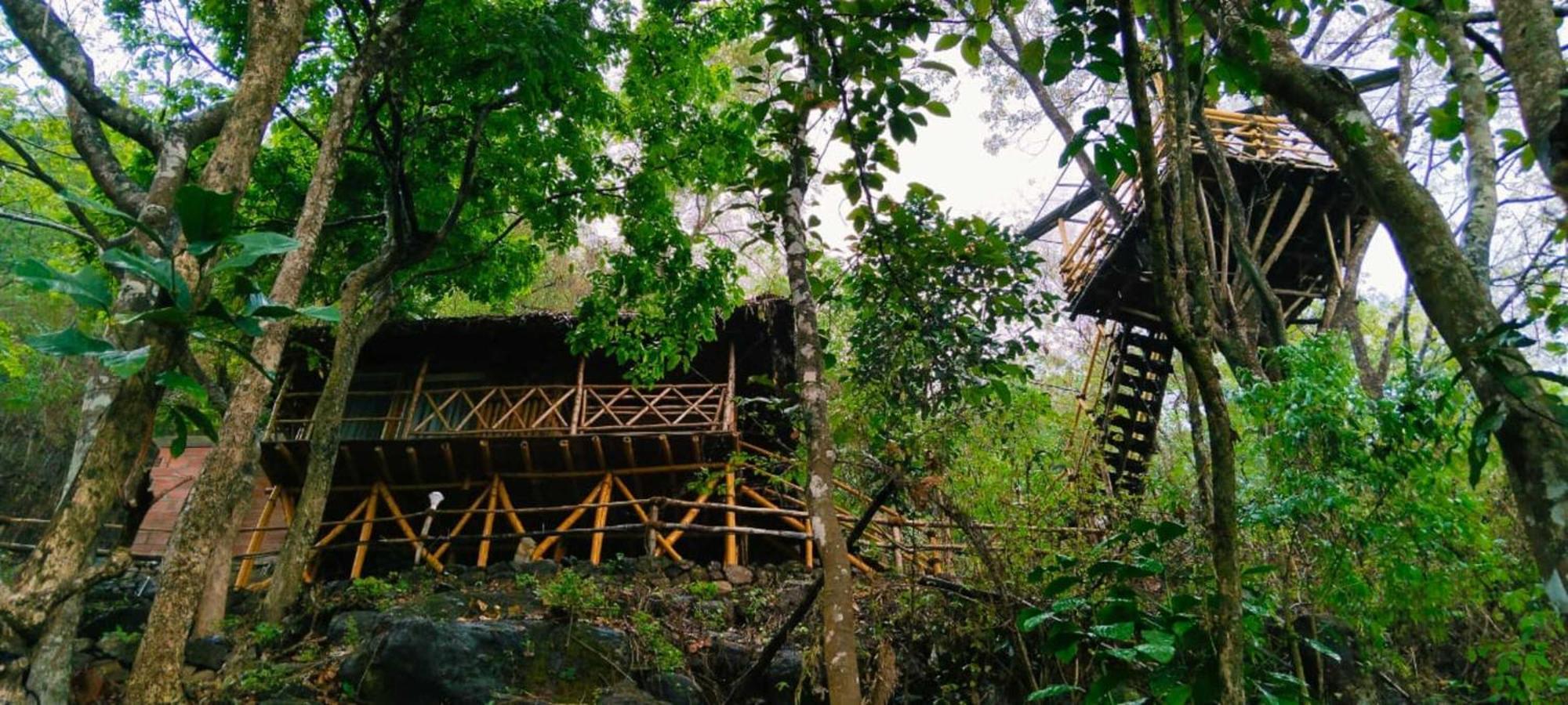 Sunset Valley Kerala Pool Resort - Serene Natural Forest Cottage Stay In Idukki With Sunrise & Sunset Panoramas, Natural Streams & Tranquil Summer Evenings Pīrmed Eksteriør bilde